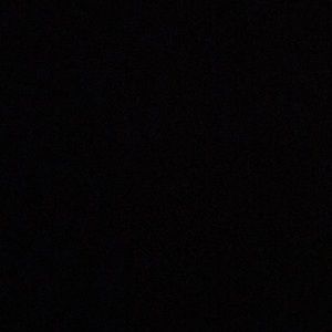 Meet your Posher, Ellie